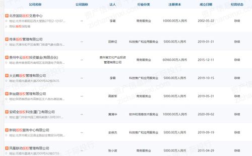 2022年無(wú)形資產(chǎn)估值工具和方法研究報(bào)告 聚焦銷售與互聯(lián)網(wǎng)電子產(chǎn)品銷售